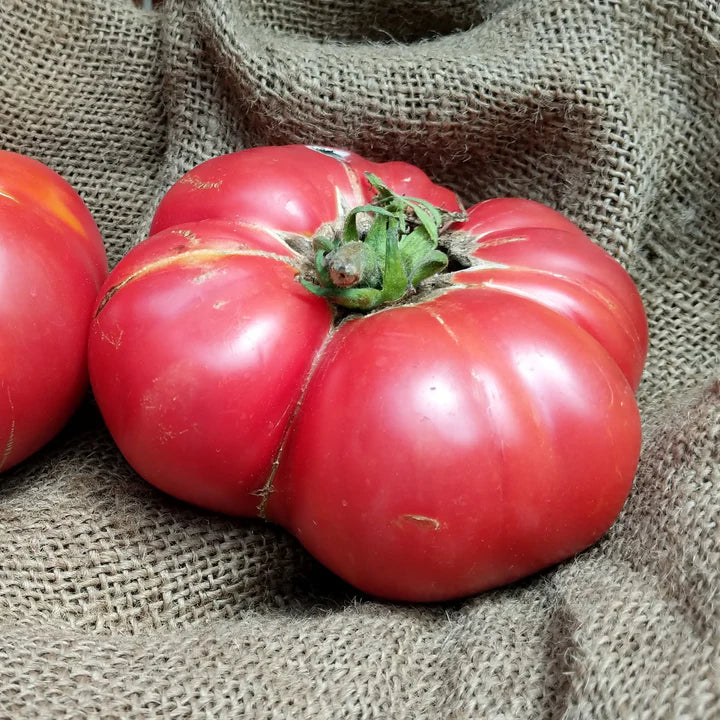 Heirloom Tomatoes