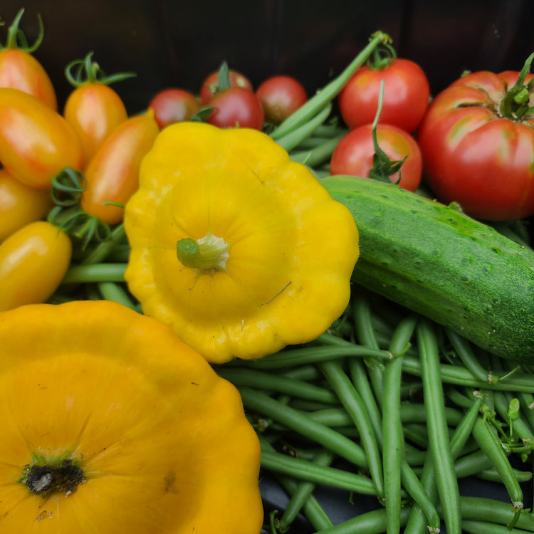 First Harvest