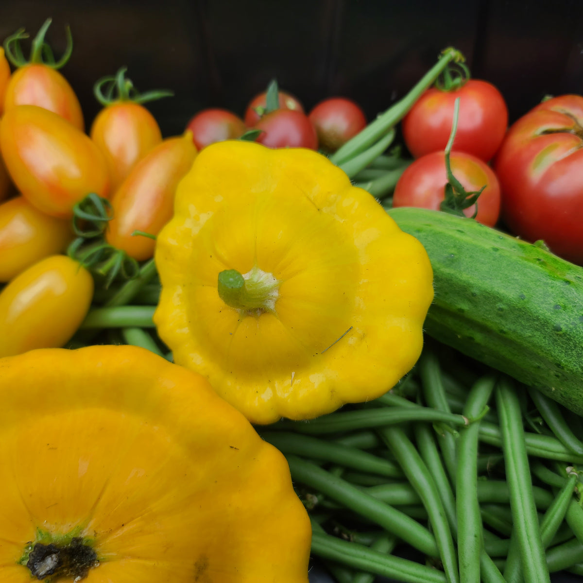 Pattypan Squash