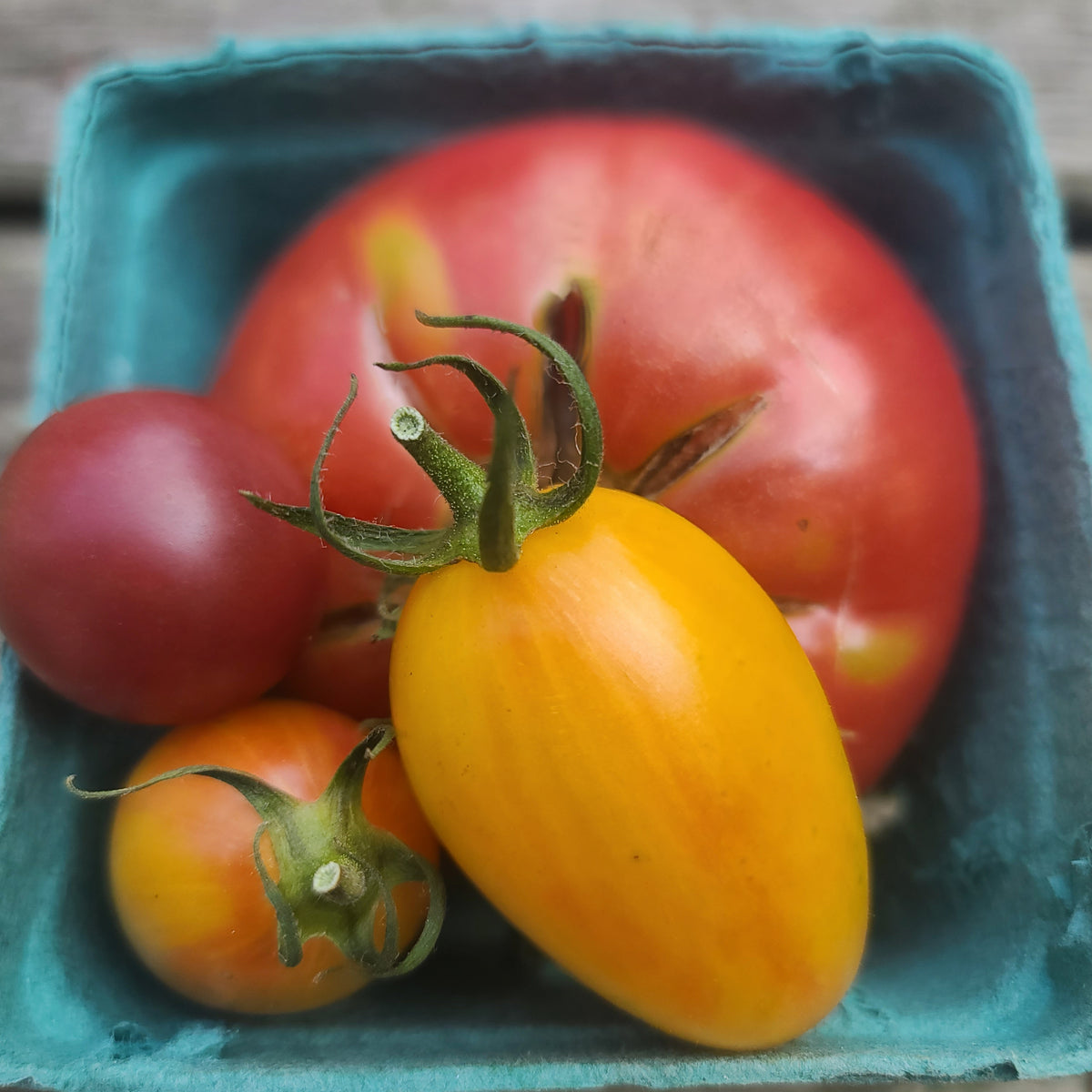 Cherry Tomatoes
