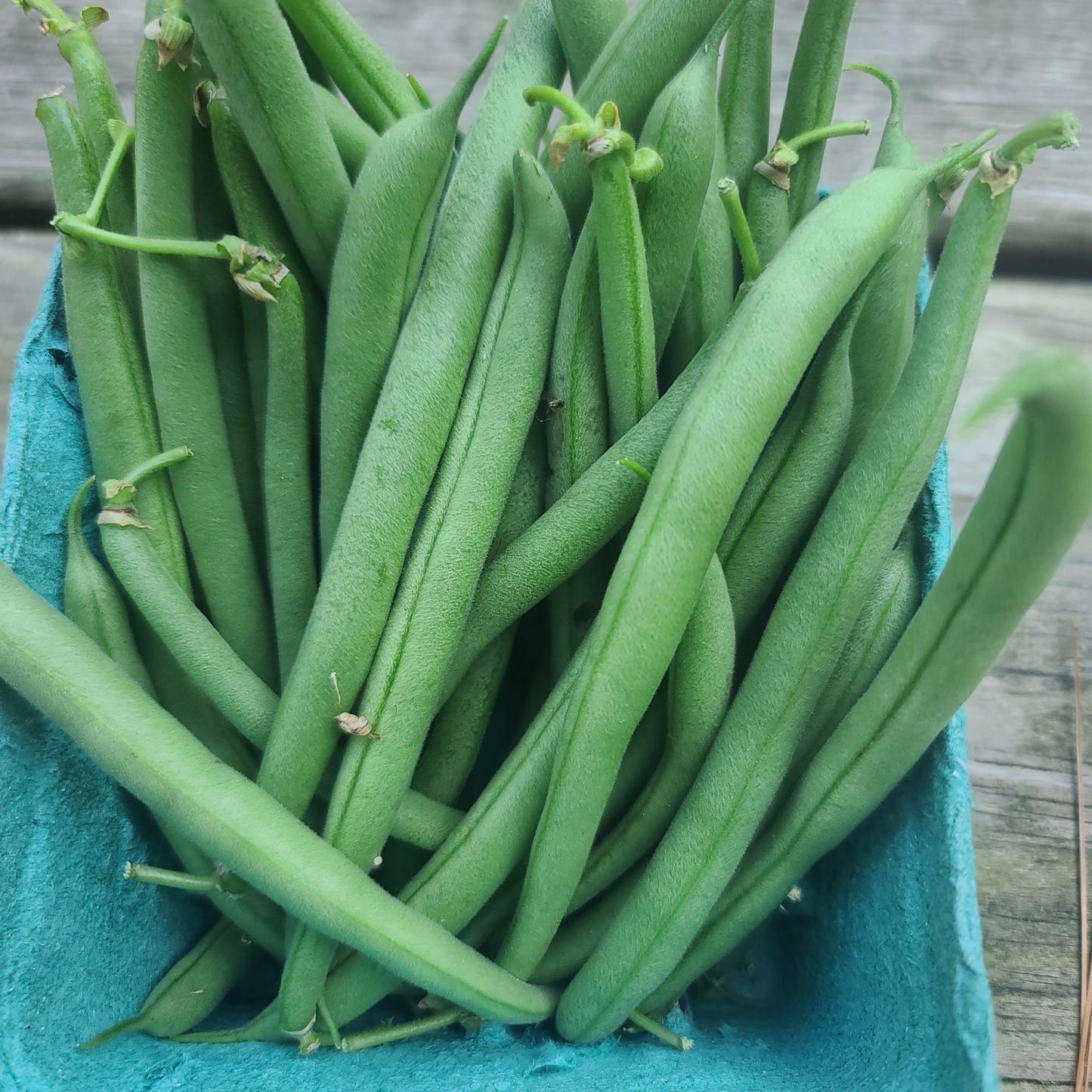 Green Beans