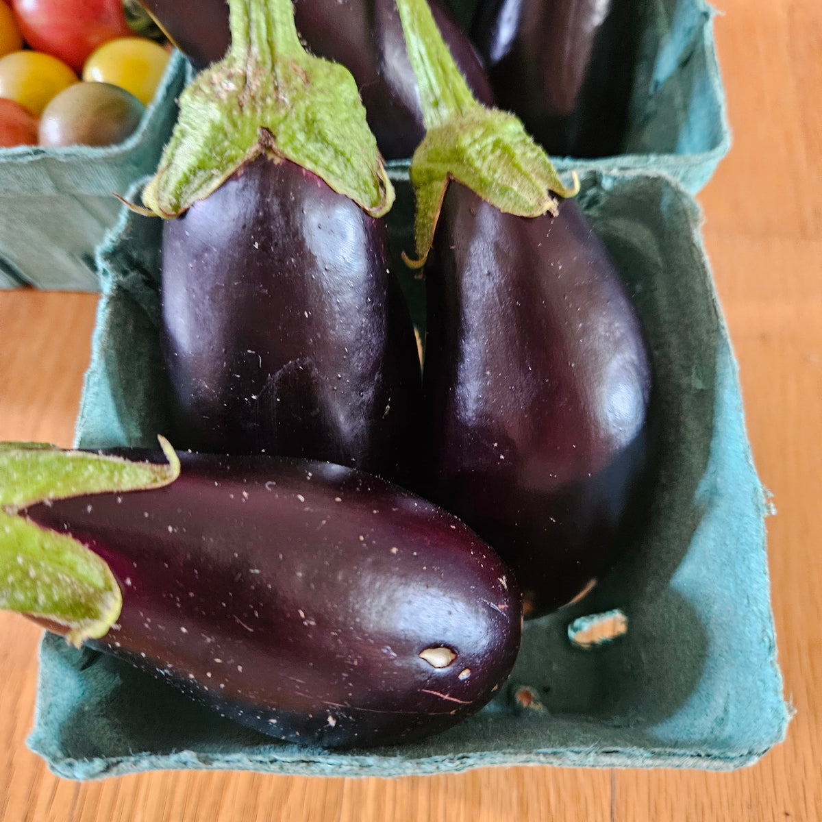 Eggplant
