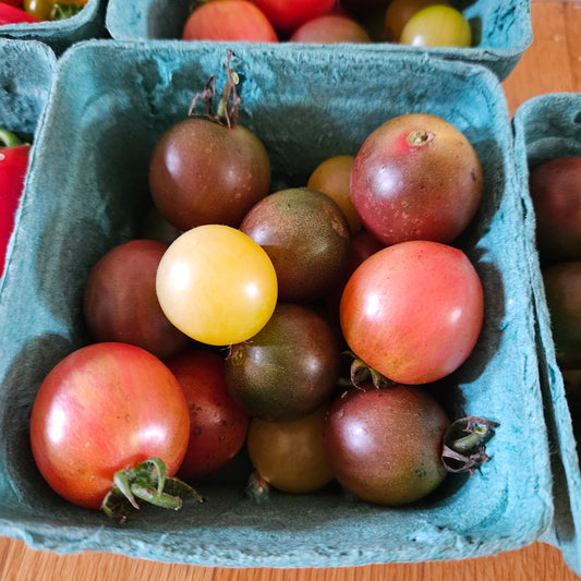 Cherry Tomatoes
