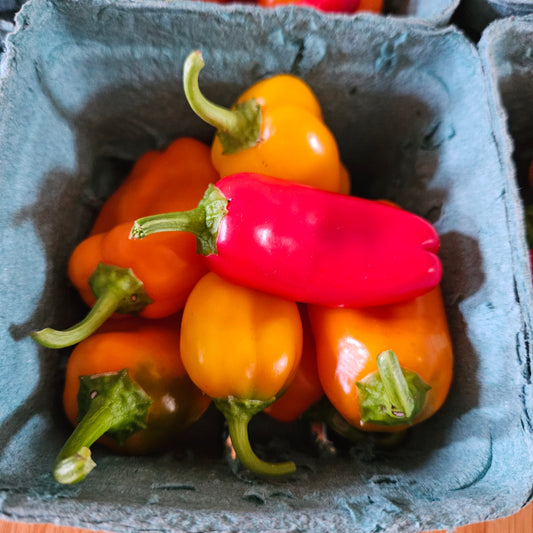 Snack Peppers